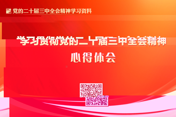 學習貫徹黨的二十屆三中全會精神心得體會